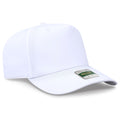 016 - White