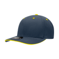 Navy/Gold