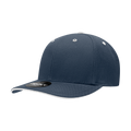 Navy/White