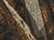 DRI DUCK 3254 Mallard Cap - Realtree Max 5 - Swatch