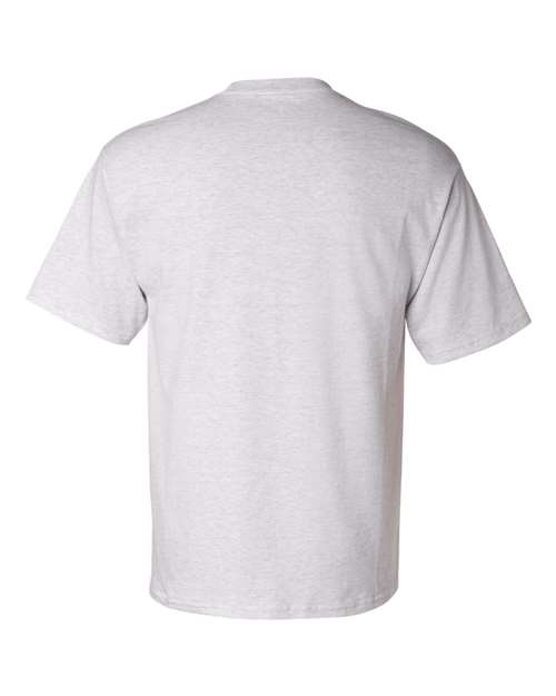 Champion T425 Unisex Classic T-Shirt - Ash - Back