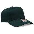 017 - Dk. Green