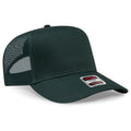 017 - Dk. Green
