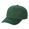 D.GREEN