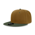 Coyote/Olive