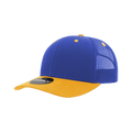 Royal/Gold