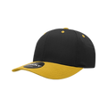 Black/Gold
