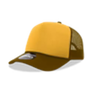 Brown/Gold/Brown