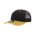 Black/Gold