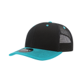 Black/Teal