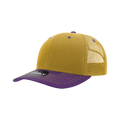 Gold/Purple