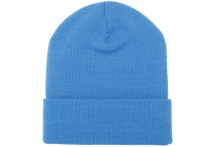 Carolina Blue