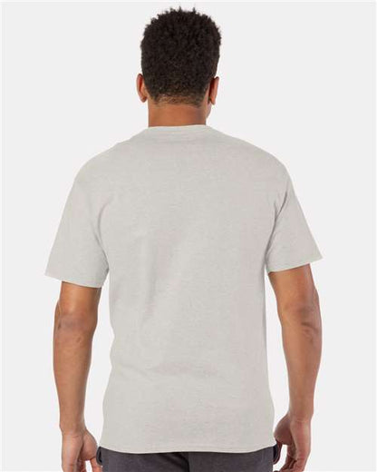 Champion T425 Unisex Classic T-Shirt - Oatmeal Heather - OnModelBack