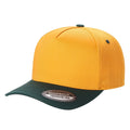 GOLD/D.GREEN