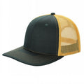 D.green/gold